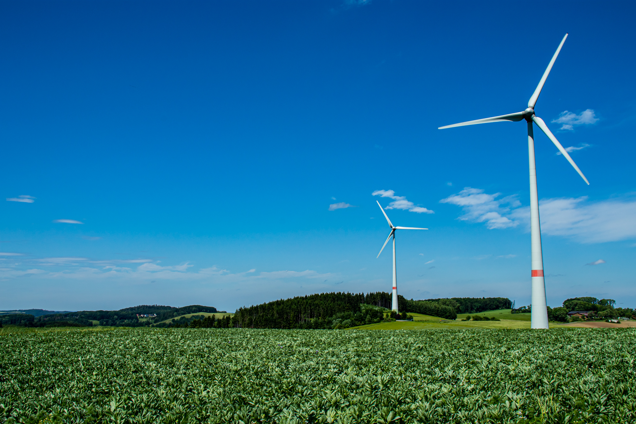 FDP Arnsberg Windkraft Windenergie Windkraftanlagen